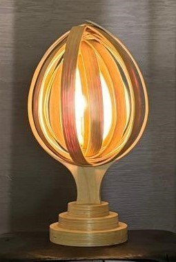 Natuurlijke berken kinetische lamp