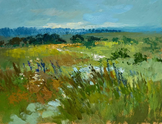 Image 1 of Original Oil Painting Summer Field Landscape On the summer flower meadows