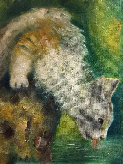 Joanna Drzewiecka - Katze