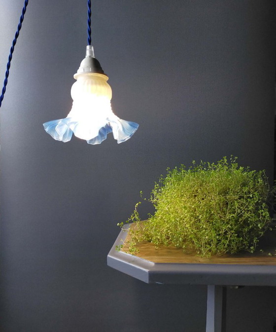 Image 1 of Tulip-shaped portable lamp in glass with blue trim