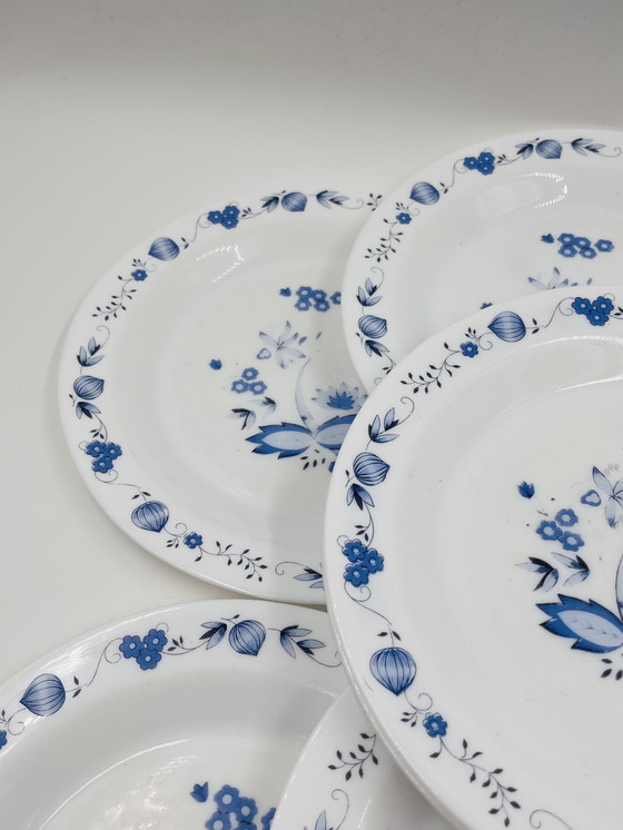Image 1 of Lot de 8 assiettes model:Aster