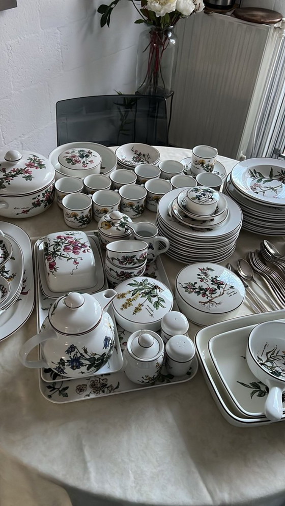Image 1 of Villeroy&Boch servies ( 12 persoons ) + Sola Elite 9delig bestek