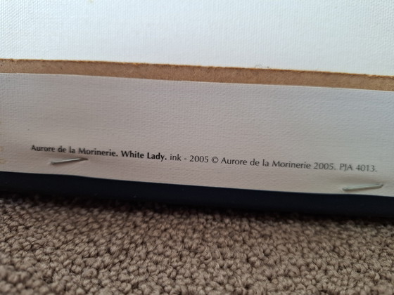 Image 1 of Dama Bianca