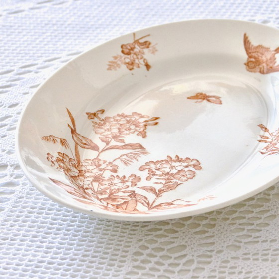 Image 1 of Grand Plat Ovale XIXe signé Longwy Terre De Fer Sépia "Botanique"