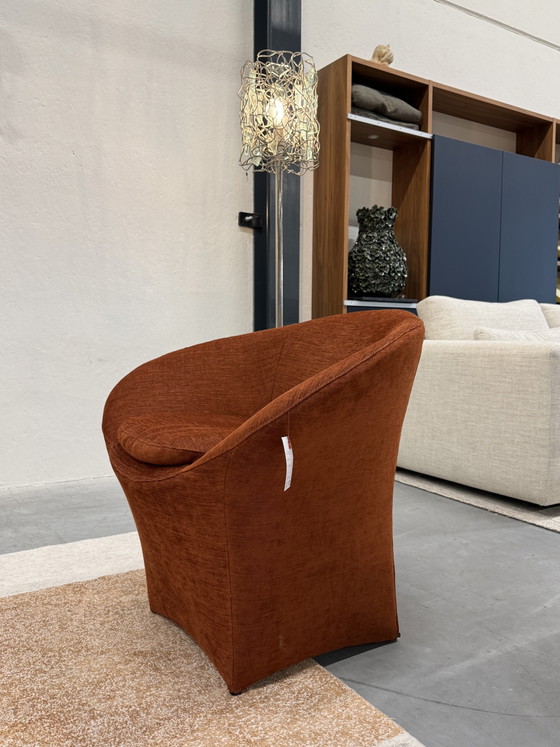 Image 1 of Label van den Berg Fauteuil Ace Terra