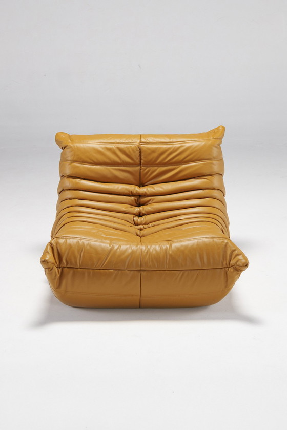 Image 1 of Togo-Set von Michel Ducaroy für Ligne Roset, Frankreich, 1970er Jahre