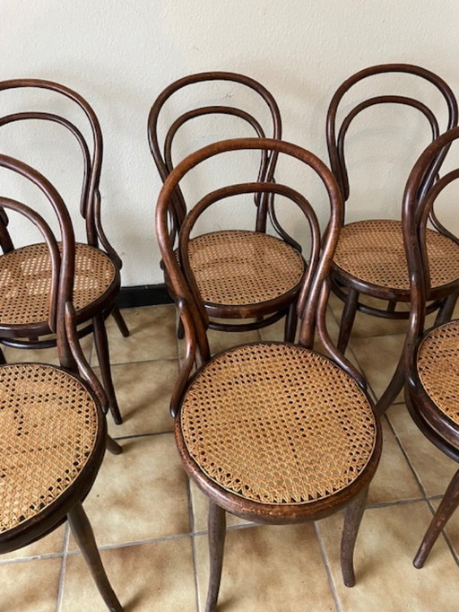 Sillas vintage de madera curvada y caña de Michael Thonet, 1904 n.° 14