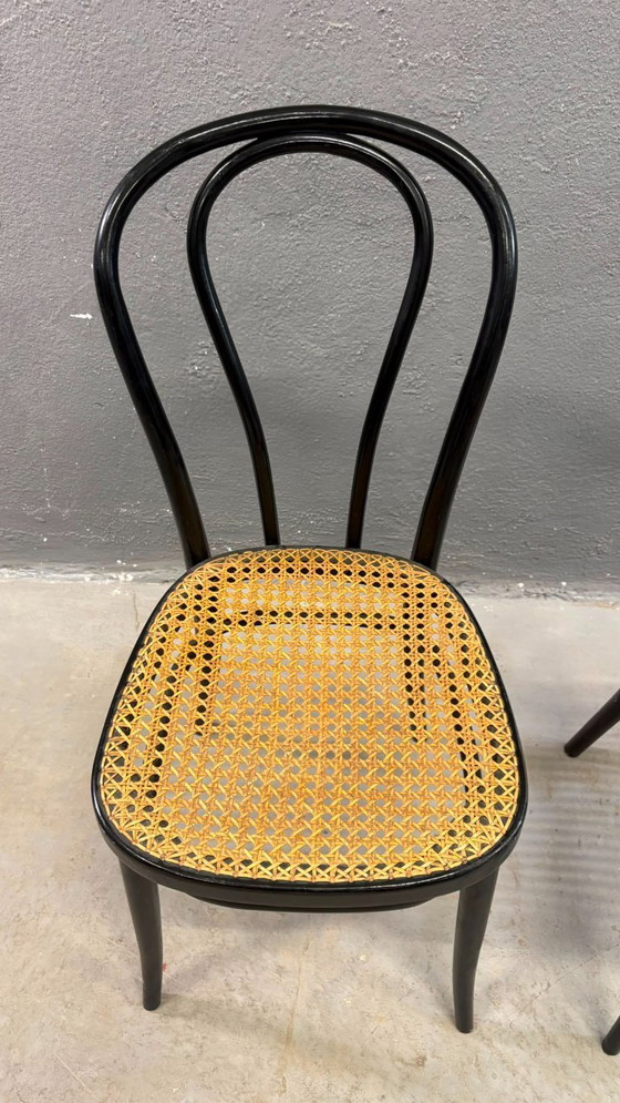 Image 1 of Een paar gebogen houten stoelen, met Weense rieten zittingen, jaren 60, Polen