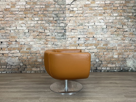 Image 1 of Poltrona Tulip di B&amp;B Italia