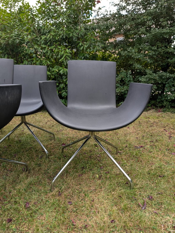 Image 1 of Sintesi Noa Spider