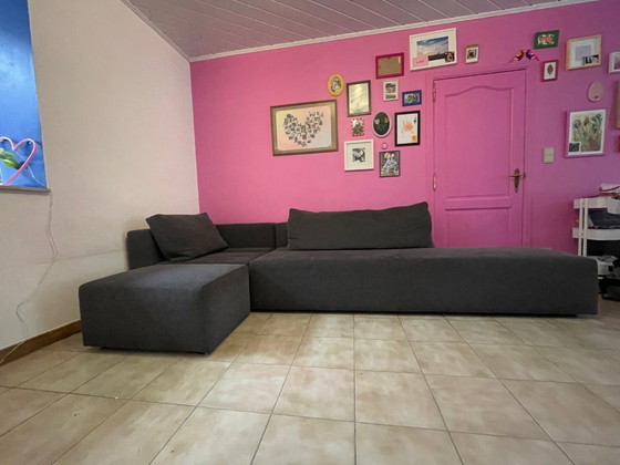 Image 1 of Camu by MOOME