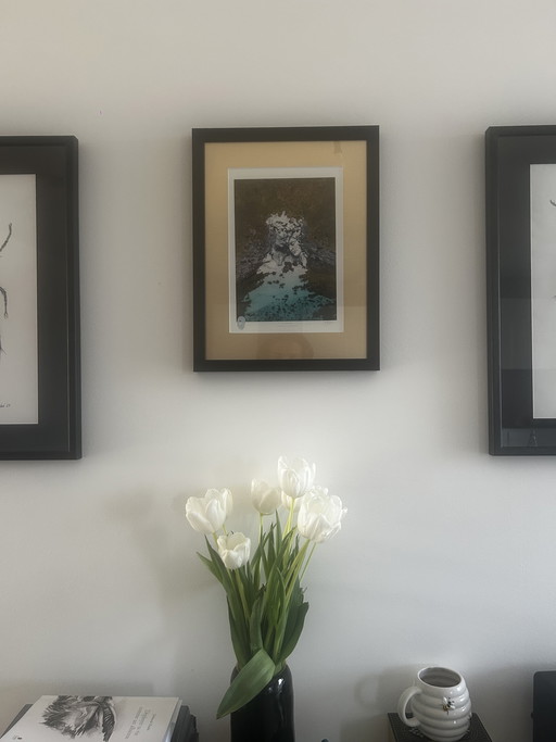 Original "Macro-Entomology" Studies by Natalia Molinska (2021)