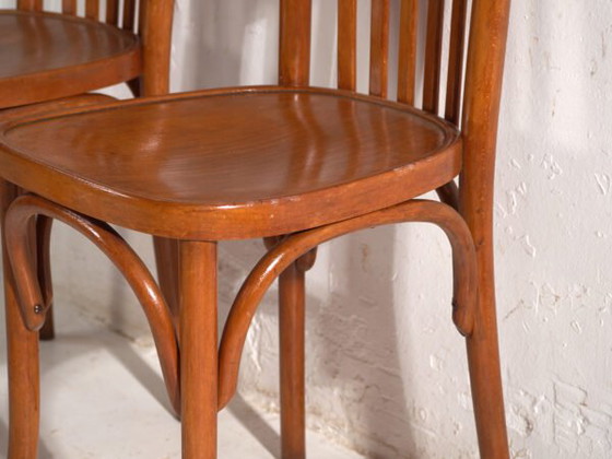 Set of 4 Antique chairs in Thonet style bentwood – Central Europe, circa 1930 #2 – Dining chairs (photo 17 of 40)