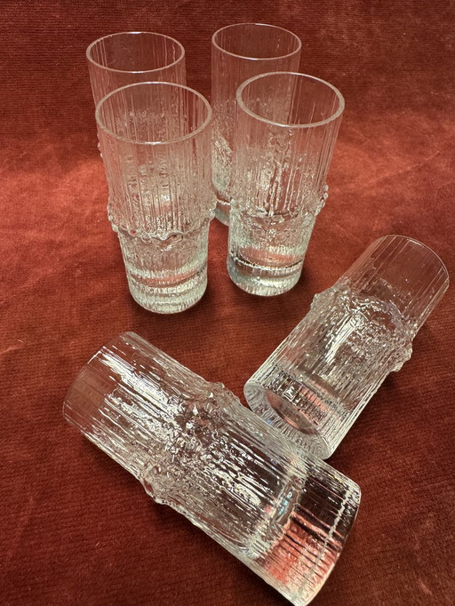 Littala Niva Schnapsglas/Schuss Tapio Wirkkala