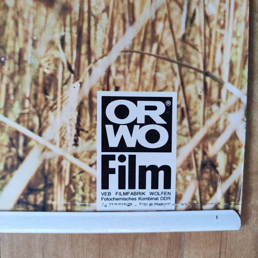 Affiche du film ORWO