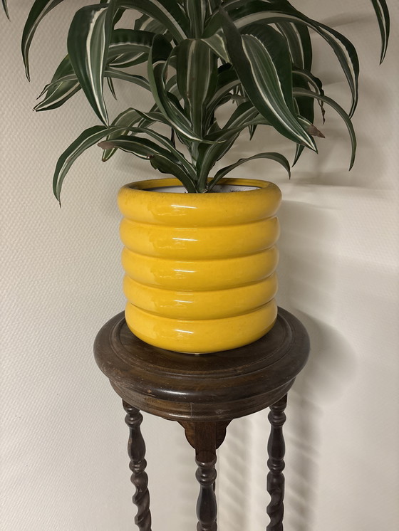 Image 1 of Vintage plantentafel