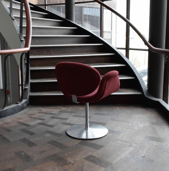Artifort Petite Tulipe – Chaises de salle à manger, Textile (photo 4 of 8)