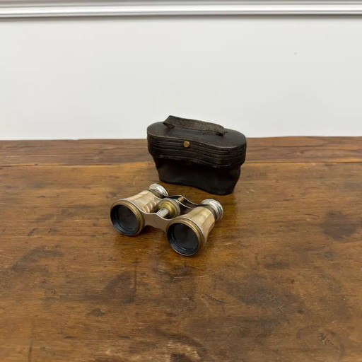 Antique Mother-of-Pearl Opera Glasses with storage box