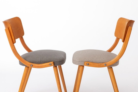 Ensemble de 4 chaises de salle à manger vintage en bois courbé, chaises en hêtre de style Stol Kamnik, style (photo 9 of 9)