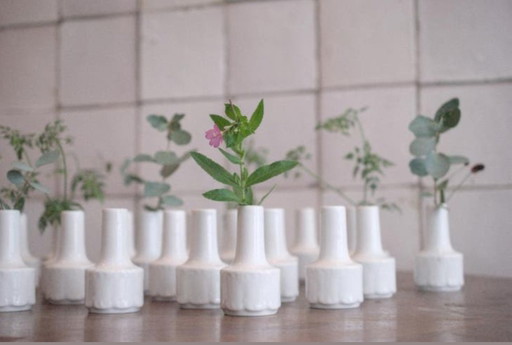 Partij Rosenthal servies
