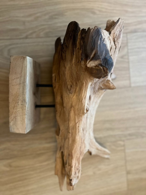 * Uniek Stuk Driftwood, Drijfhout, Teak Wortel Haai – Decoratieve objecten (photo 9 of 9)