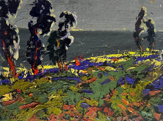 Image 1 of Original Oil Painting Gloomy Nature Landscape Far beyond the river