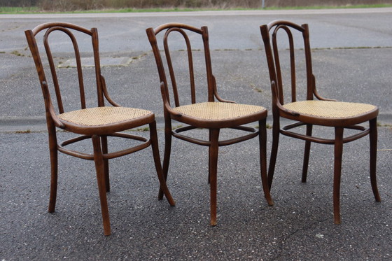 Image 1 of Sedie da bistrot serie x6 n. 56 di Thonet