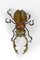 Tavolino da caffè Scarab di François Melin, 1970 – Libri d'arte, Metal, Glass (photo 11 of 21)