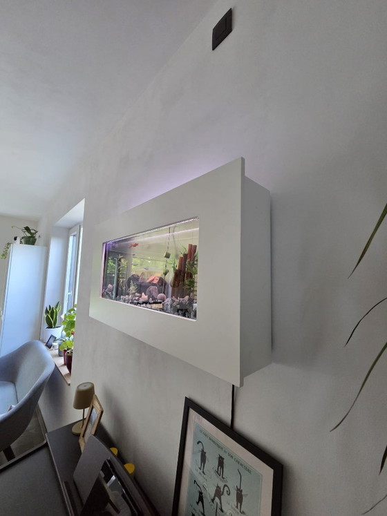 Acquario da parete unico con cornice bianca 80 cm – Decorazioni murali, Other (photo 5 of 7)