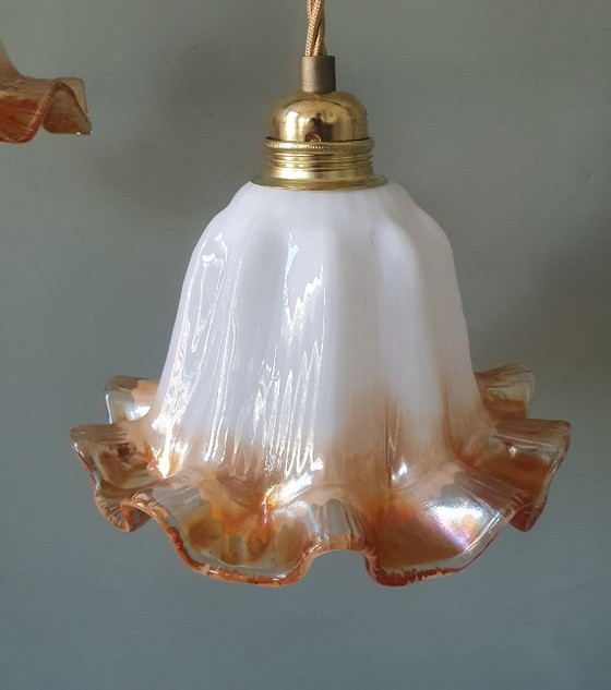 Set of Vintage Glass Pendant Lights. Floral / Flower-shaped Glass – Pendant lamps, Metal (photo 7 of 24)