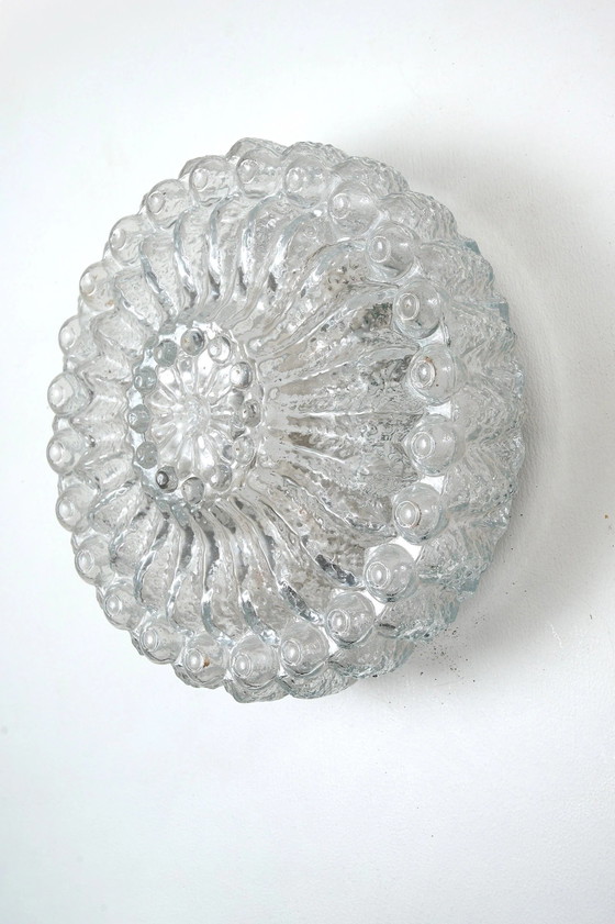 Molded Bubble Glass Flush Mount Ceiling Light, Metal (photo 7 of 8)