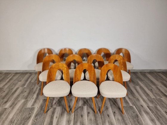Image 1 of Dining Chairs from Antonin Suman, set of 12