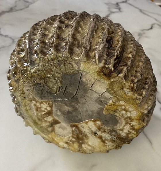 Image 1 of Raku-Seeigel-Pflanztopf