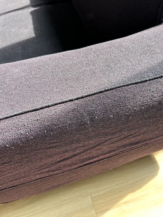 Image 1 of Sofá Reef morado oscuro de Piero Lissoni
