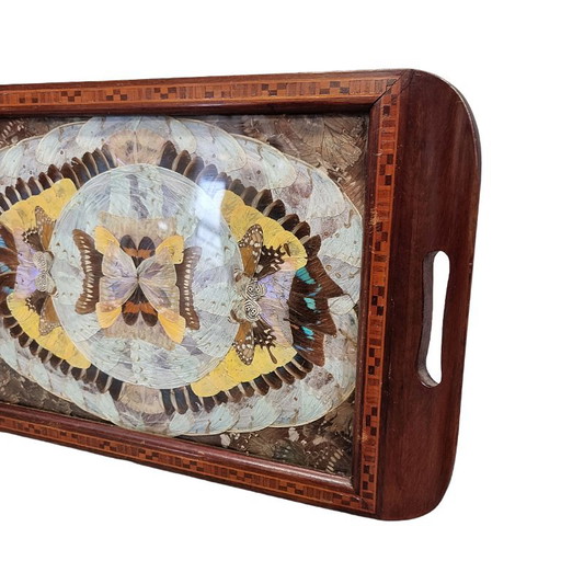 Antiek Art Deco dienblad met echte vlindervleugels – tafelaccessoires, Wood (photo 2 of 6)