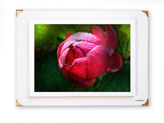 Image 1 of Fotografia impressionista incorniciata