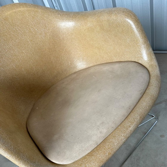 Image 1 of Poltrona Eames LAR, Charles Eames e Ray Eames, Herman Miller