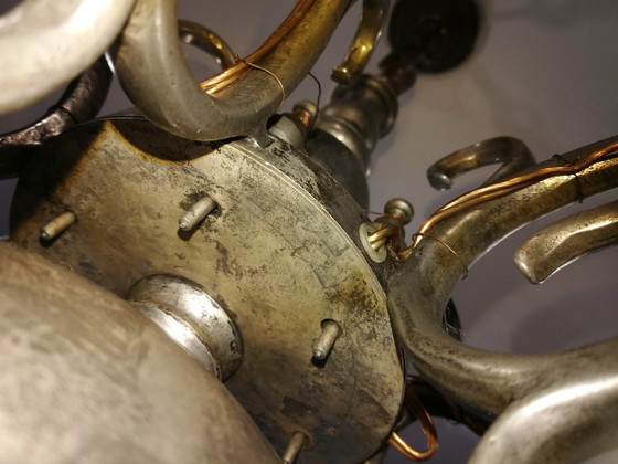 Image 1 of lucentezza da clone fiammingo