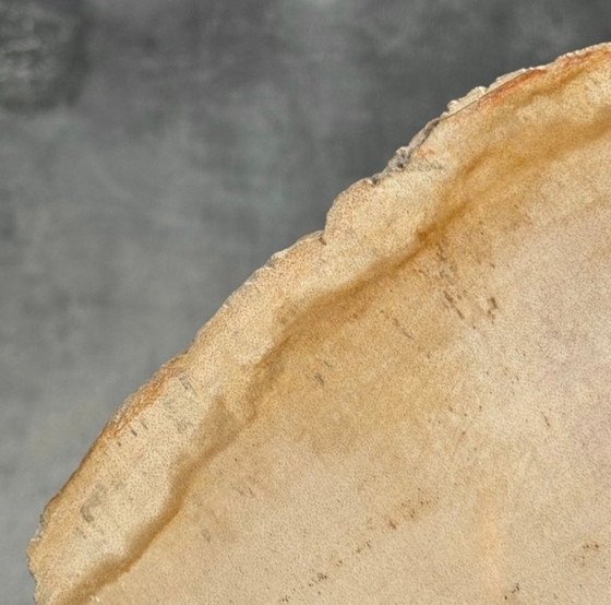 Image 1 of Madera fosilizada de Sooka, soporte hecho a medida (nuevo)