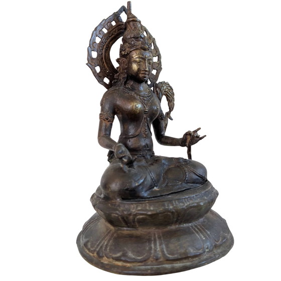 Statua in Bronzo Avalokiteshvara / Padmapani – Stile Giavanese-Buddhista – Sculture, Bronze (photo 2 of 8)