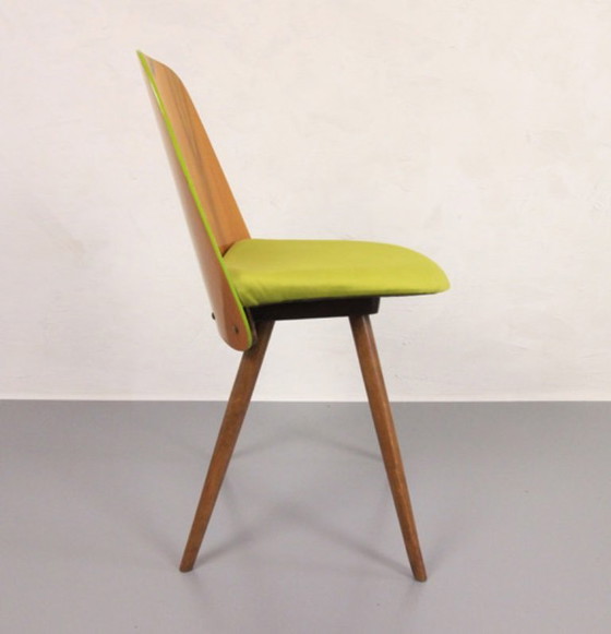 Image 1 of 4x Chaises Tatra "Spring Grass" (herbe de printemps)