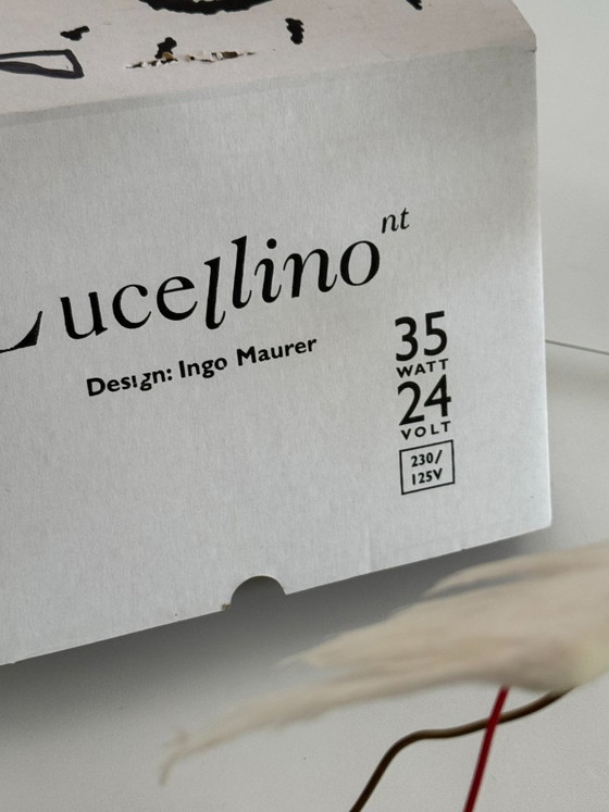 Set di 2 Applique Ingo Maurer Lucellino NT, 24V – Bronze (photo 6 of 9)