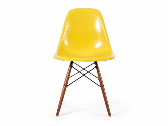 Set van 4 DSW Charles Eames stoelen - Gele glasvezel Herman Miller editie – Eetkamerstoelen, Fiberglass (photo 5 of 18)