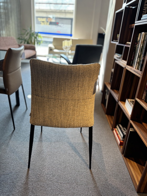 Image 1 of 6x Esszimmerstuhl Ascot von Brand Jori