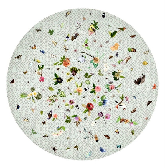 Image 1 of Rug Garden of Eden by Moooi