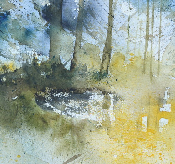 Image 1 of Licht in het bos