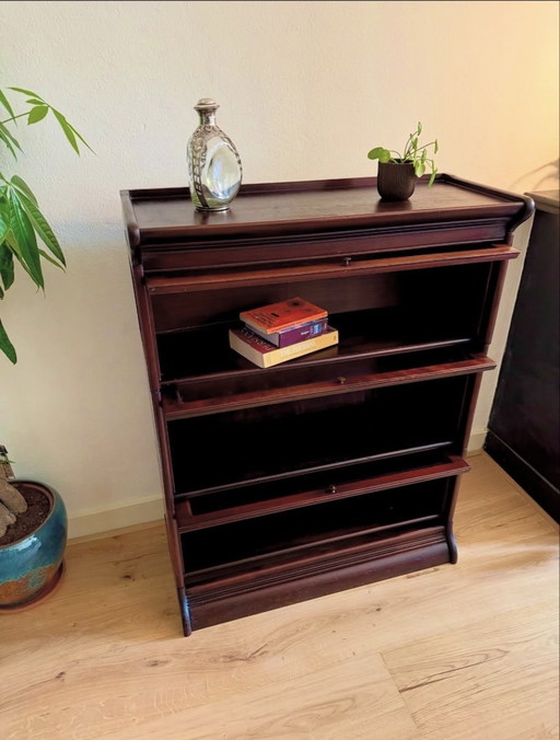Globe Wernicke style bookcase