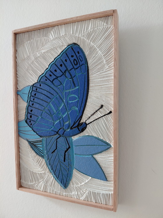 Image 1 of Galería "Alas Azules Luz Blanca" Suncorner