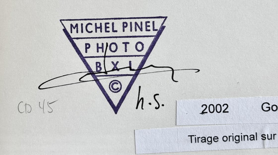 Image 1 of Michel Pinel - Rare photograph of Venice in 2002