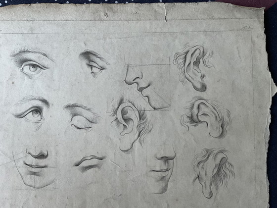 Image 1 of Rare étude anatomique du XVIII ème siècle par Cipriani 